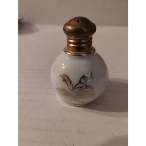 Irice Porcelain Hand Painted Japan Salt/Pepper Shaker White Gold